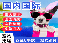 成都双流航空物流国际宠物托运 【国